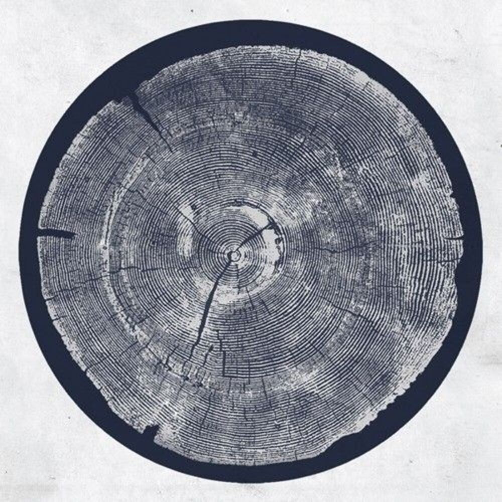 Roy Montgomery - R: Tropic Of Anodyne  LP LP